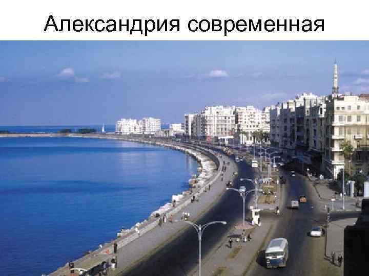 Александрия современная 