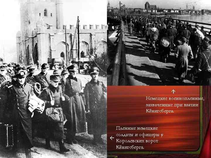  Немецкие военнопленные, захваченные при взятии Кёнигсберга. Пленные немецкие солдаты и офицеры у Королевских