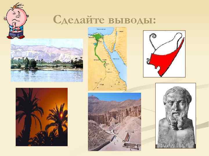 Сделайте выводы: 