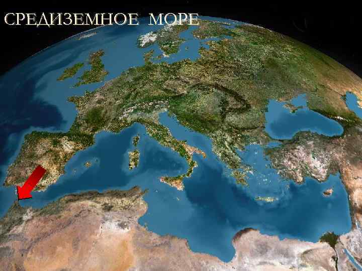 СРЕДИЗЕМНОЕ МОРЕ Море омывающее берега Африки, Азии и Европы. 