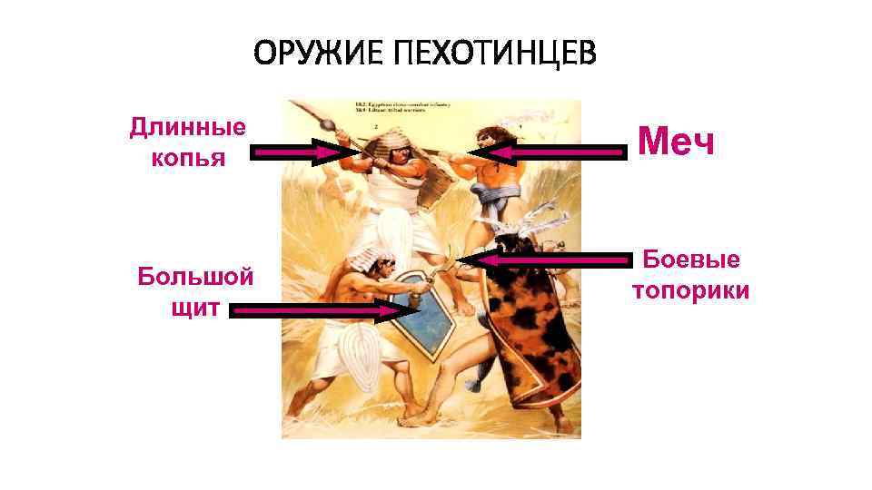 ОРУЖИЕ ПЕХОТИНЦЕВ Длинные копья Большой щит Меч Боевые топорики 