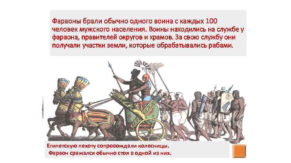 Фараоны брали обычно одного воина с каждых 100 человек мужского населения. Воины находились на