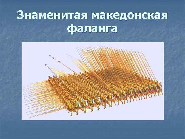 Знаменитая македонская фаланга 