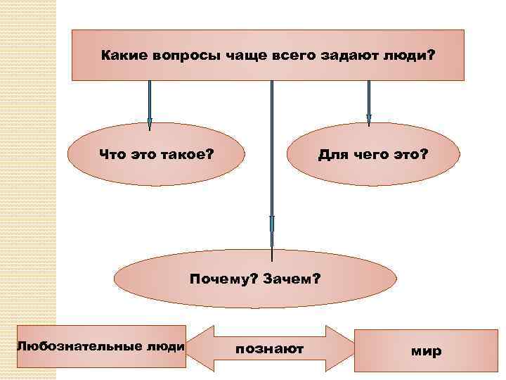 Какие вопросы чаще всего задают люди? Что это такое? Для чего это? Почему? Зачем?