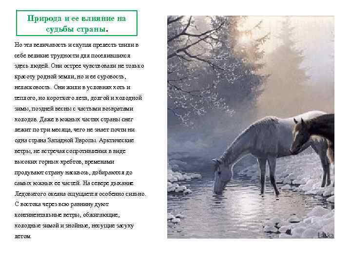 Природа и ее влияние на судьбы страны. Но эта величавость и скупая прелесть таили