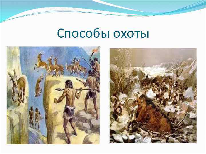 Способы охоты 