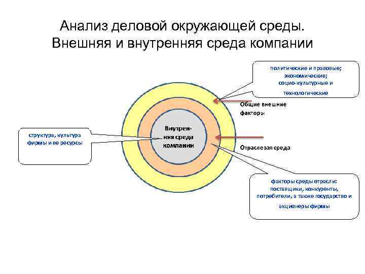 Анализ деловой окружающей среды. Внешняя и внутренняя среда компании политические и правовые; экономические; социо-культурные