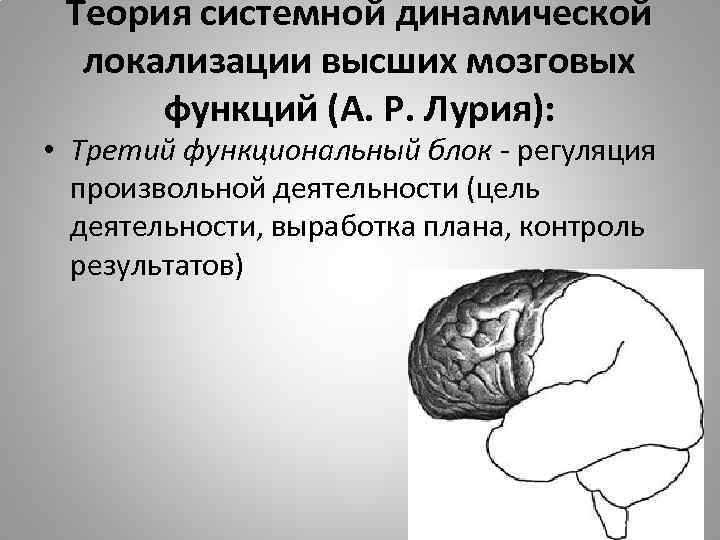 Блок мозгов. Функции 3 блока мозга по Лурия. Три отдела головного мозга по Лурия. Локализация высших психических функций Лурия. Теория Лурии о 3 функциональных блоках мозга.