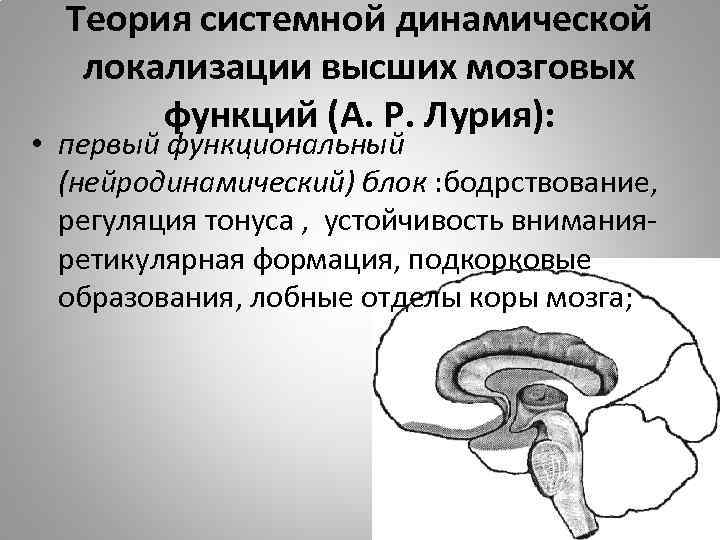 Энергетический блок мозга блок регуляции тонуса и бодрствования презентация