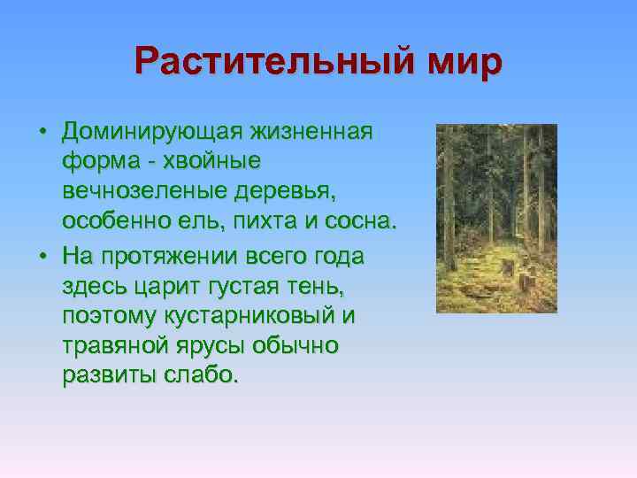 Растительный мир • Доминирующая жизненная форма - хвойные вечнозеленые деревья, особенно ель, пихта и