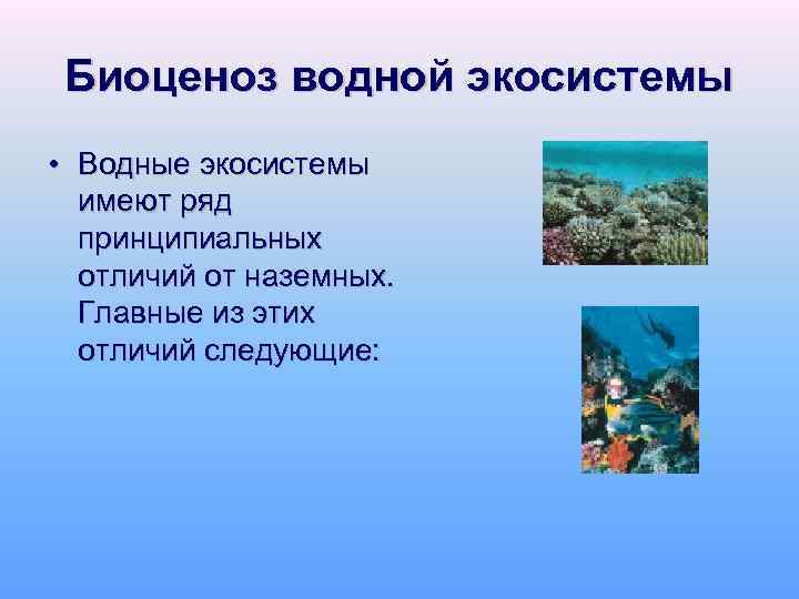 Биоценоз водной экосистемы • Водные экосистемы имеют ряд принципиальных отличий от наземных. Главные из