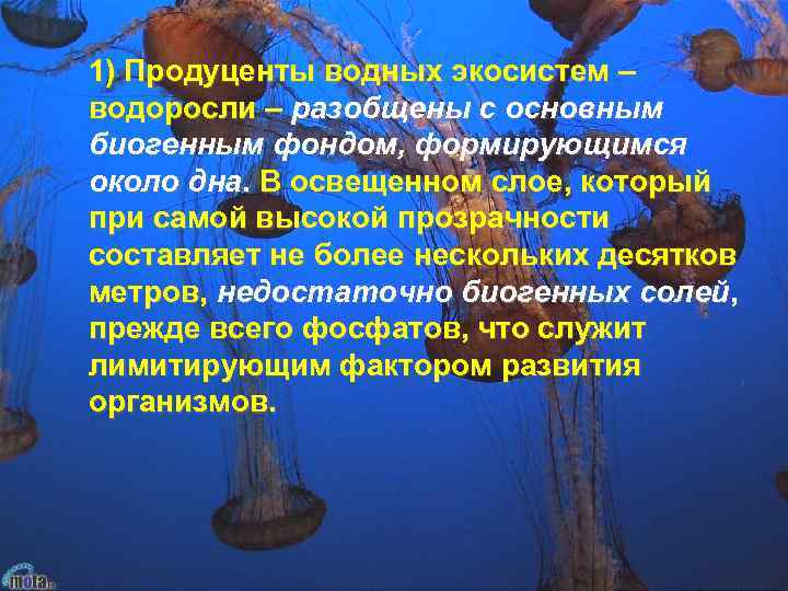 1) Продуценты водных экосистем – водоросли – разобщены с основным биогенным фондом, формирующимся около