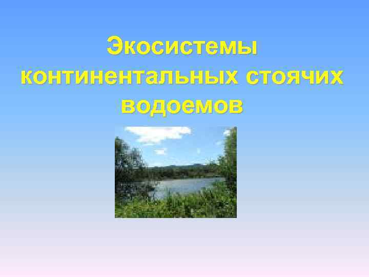 Экосистемы континентальных стоячих водоемов 