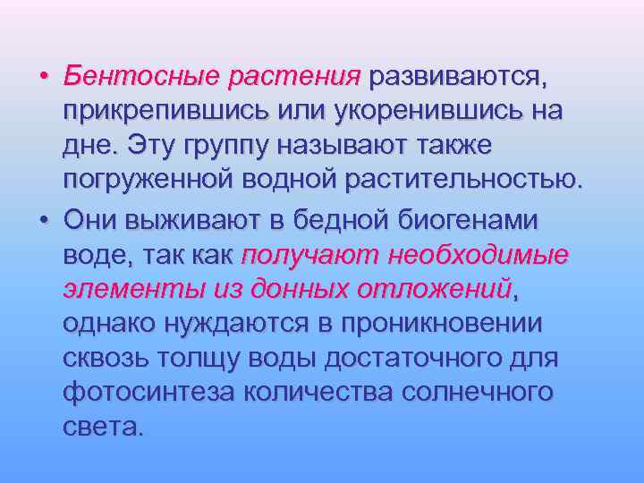  • Бентосные растения развиваются, прикрепившись или укоренившись на дне. Эту группу называют также