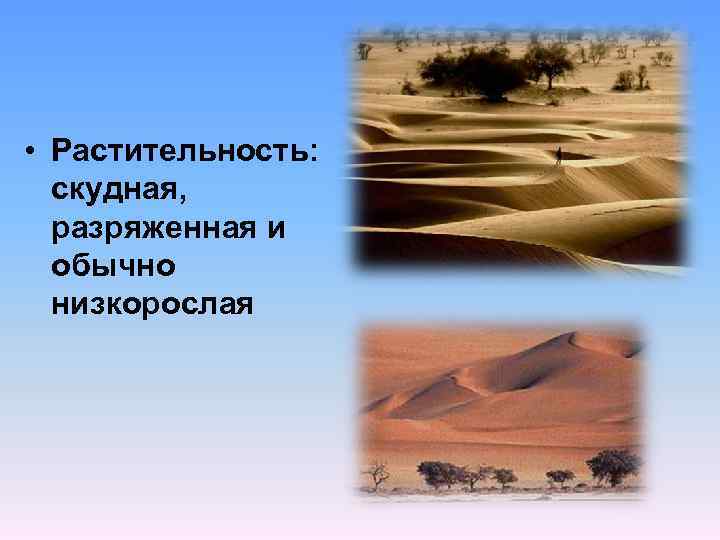  • Растительность: скудная, разряженная и обычно низкорослая 