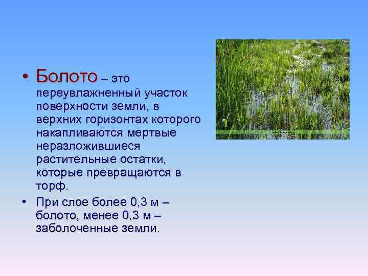 Верхний горизонт. Переувлажненный участки поверхности земли. Переувлажненные участки поверхности. Типы переувлажненных земель. Сухопутные и водяные земля.