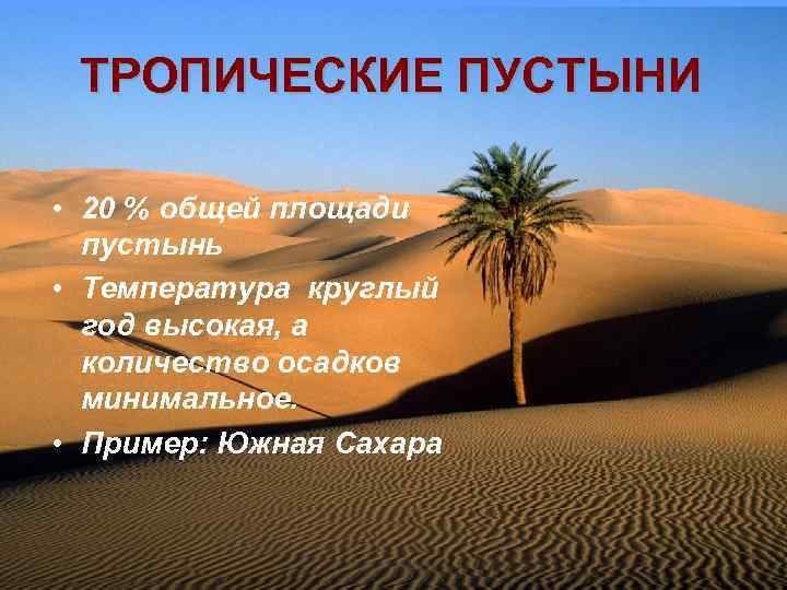 ТРОПИЧЕСКИЕ ПУСТЫНИ • 20 % общей площади пустынь • Температура круглый год высокая, а