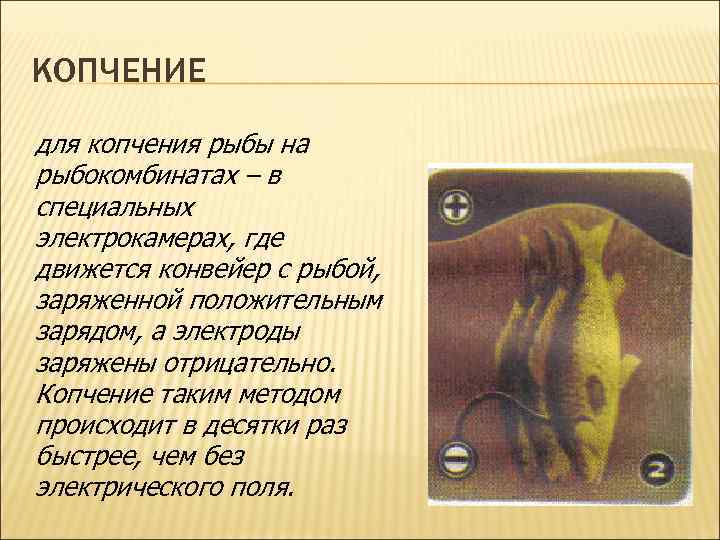 КОПЧЕНИЕ для копчения рыбы на рыбокомбинатах – в специальных электрокамерах, где движется конвейер с