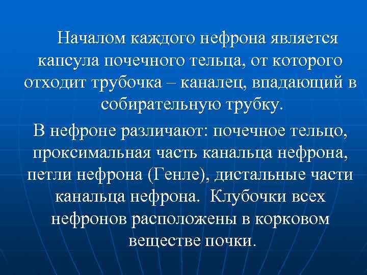 Началом каждого нефрона является капсула почечного тельца, от которого отходит трубочка – каналец, впадающий