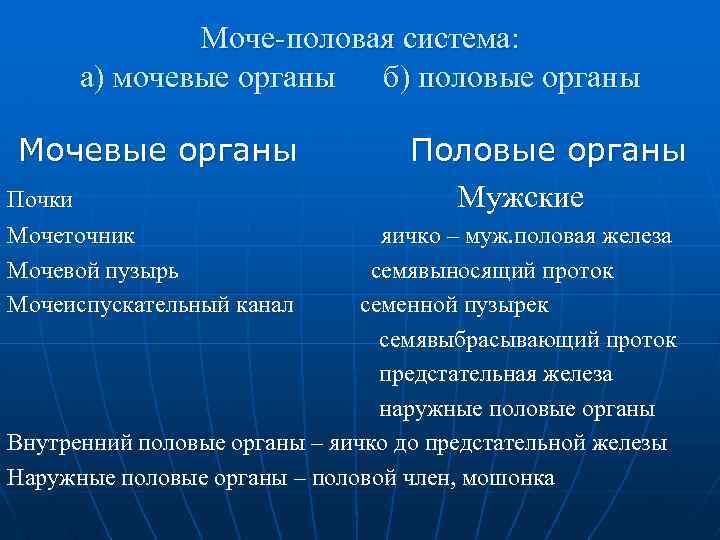 Моче-половая система: а) мочевые органы б) половые органы Мочевые органы Почки Мочеточник Мочевой пузырь