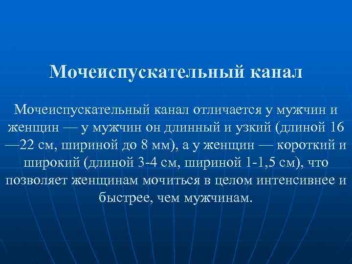 Мочеиспускательный канал отличается у мужчин и женщин — у мужчин он длинный и узкий