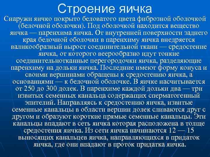 Строение яичка Снаружи яичко покрыто беловатого цвета фиброзной оболочкой (белочной оболочки). Под оболочкой находится