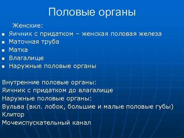 Половые органы n n n Женские: Яичник с придатком – женская половая железа Маточная