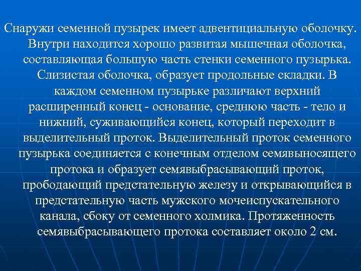 Снаружи семенной пузырек имеет адвентициальную оболочку. Внутри находится хорошо развитая мышечная оболочка, составляющая большую