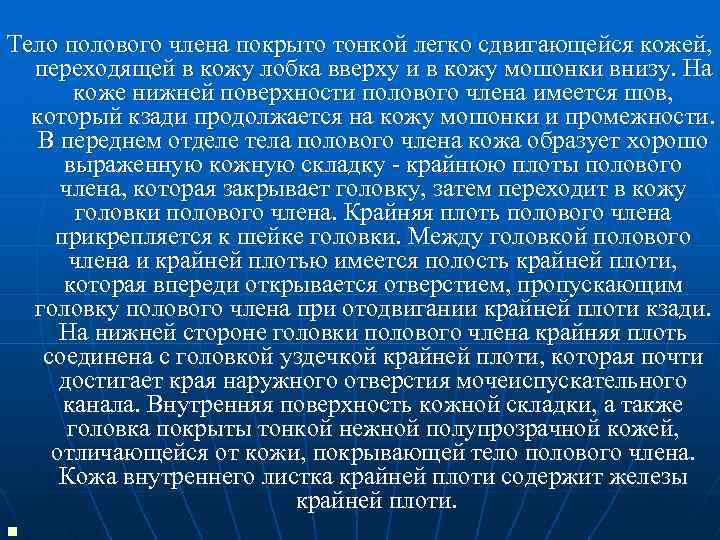 Тело полового члена покрыто тонкой легко сдвигающейся кожей, переходящей в кожу лобка вверху и