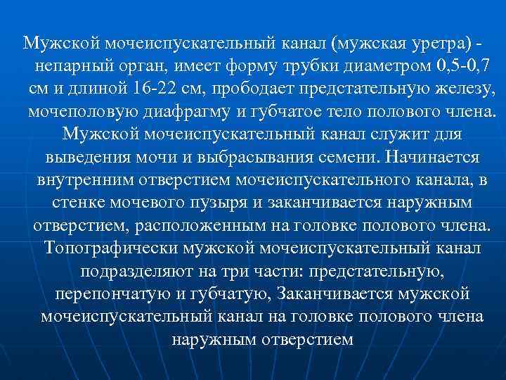 Мужской мочеиспускательный канал (мужская уретра) непарный орган, имеет форму трубки диаметром 0, 5 -0,