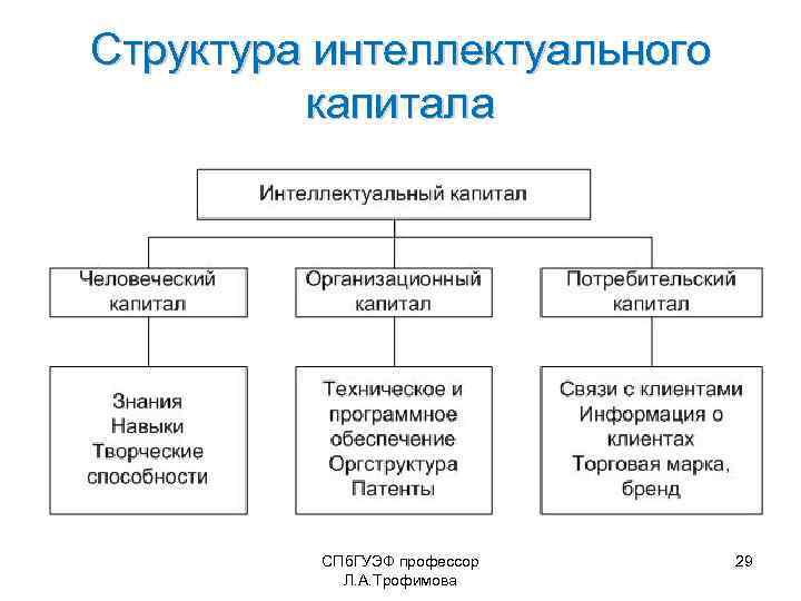 Идея проекта это интеллектуальный капитал