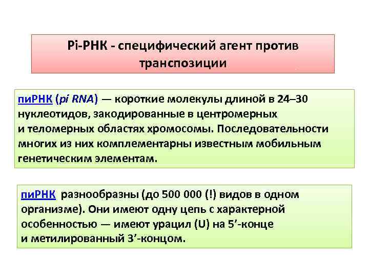 Pi РНК специфический агент против транспозиции пи. РНК (pi RNA) — короткие молекулы длиной