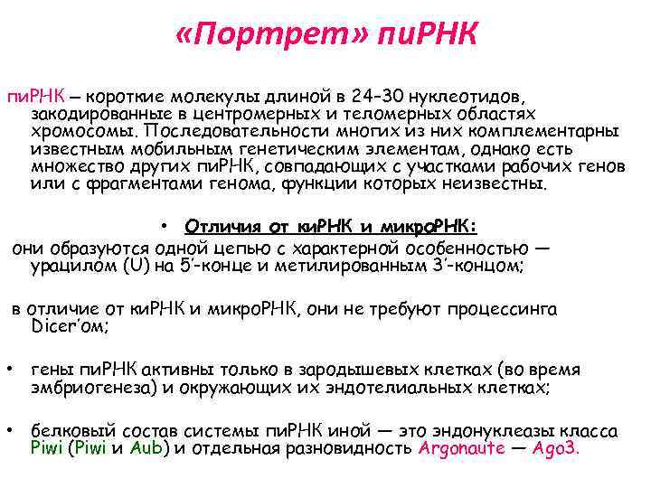  «Портрет» пи. РНК — короткие молекулы длиной в 24– 30 нуклеотидов, закодированные в