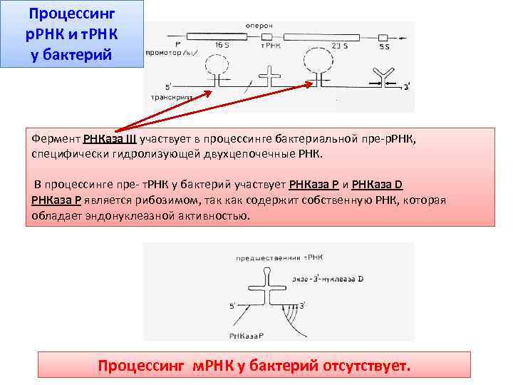 Селект процессинг