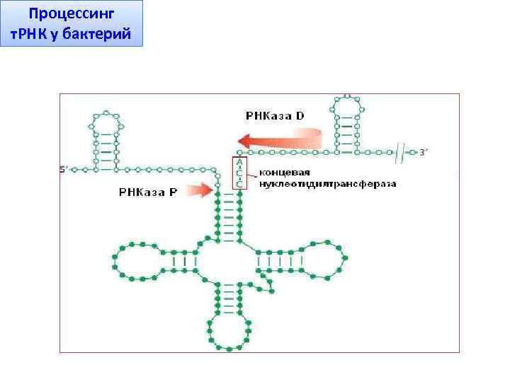 Реле рнк 1у3 схема