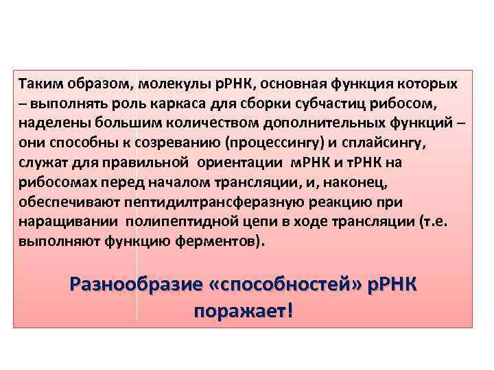Таким образом, молекулы р. РНК, основная функция которых – выполнять роль каркаса для сборки