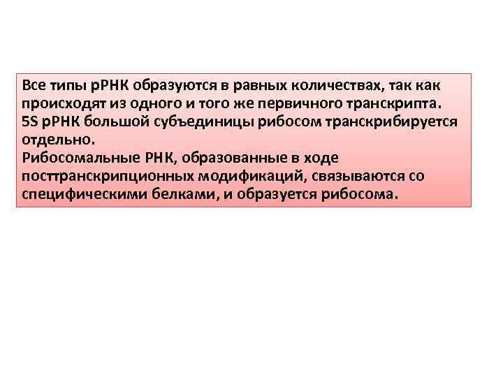 Все типы р. РНК образуются в равных количествах, так как происходят из одного и