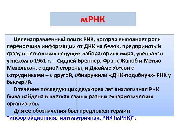 м. РНК Целенаправленный поиск РНК, которая выполняет роль переносчика информации от ДНК на белок,