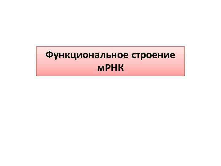 Функциональное строение м. РНК 