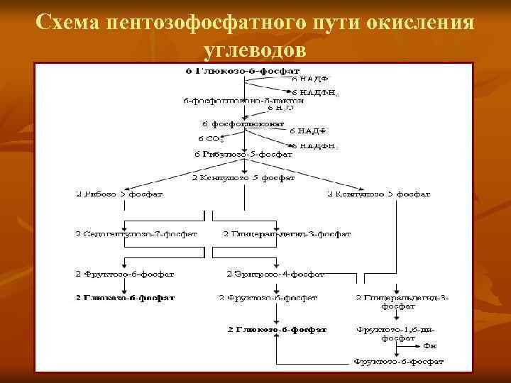 Схема пентозофосфатного цикла