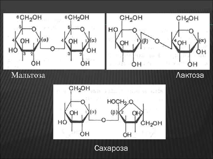 Лактоза Мальтоза Сахароза 