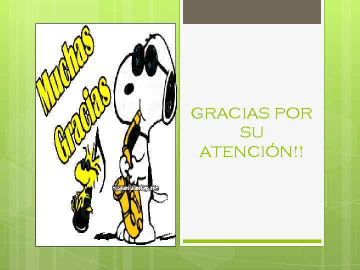 GRACIAS POR SU ATENCIÓN!! 