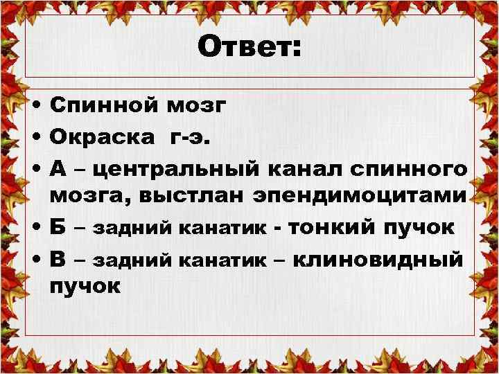 Ответ: • Спинной мозг • Окраска г-э. • А – центральный канал спинного мозга,