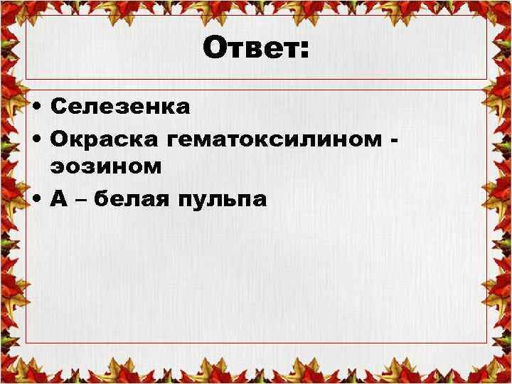 Ответ: • Селезенка • Окраска гематоксилином эозином • А – белая пульпа 