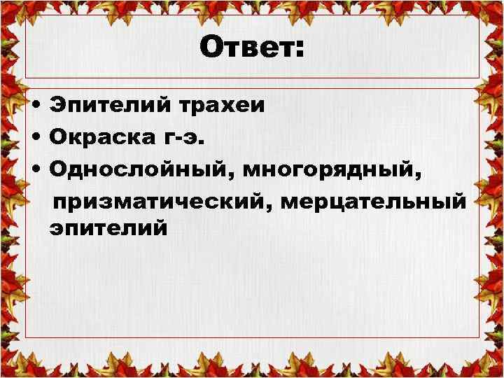 Ответ: • Эпителий трахеи • Окраска г-э. • Однослойный, многорядный, призматический, мерцательный эпителий 