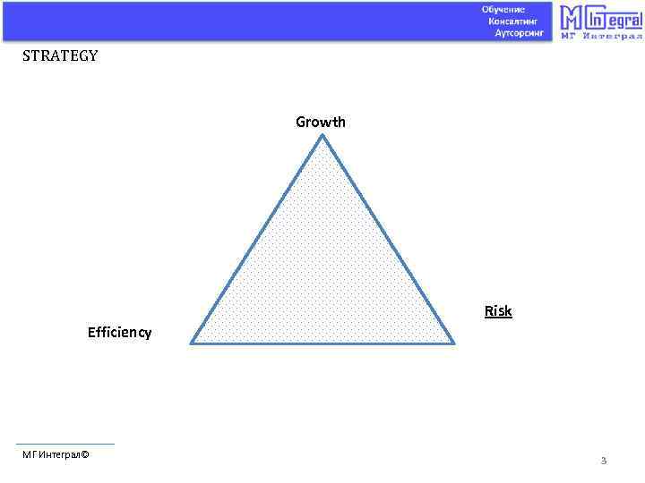 STRATEGY Growth Risk Efficiency МГ Интеграл© 3 