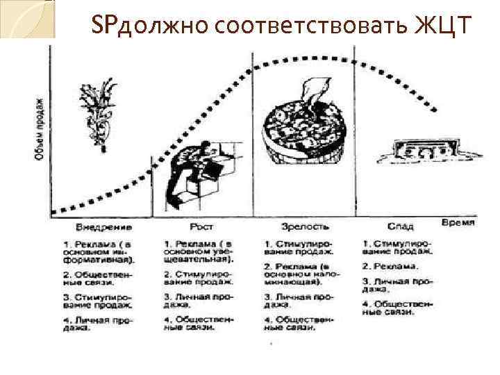 SPдолжно соответствовать ЖЦТ 