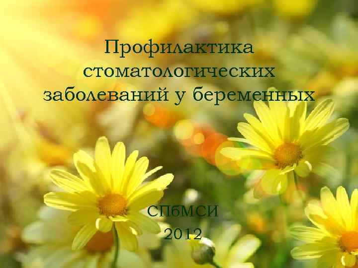 Профилактика стоматологических заболеваний у беременных СПб. МСИ 2012 