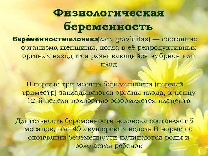 Физиологическая беременность Бере менность человека(лат. graviditas) — состояние организма женщины, когда в её репродуктивных
