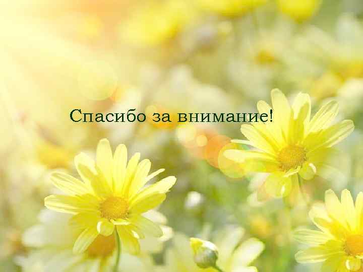 Спасибо за внимание! 